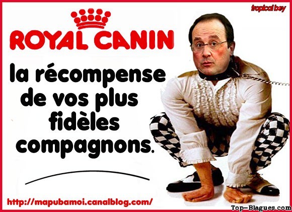 Royal Canin