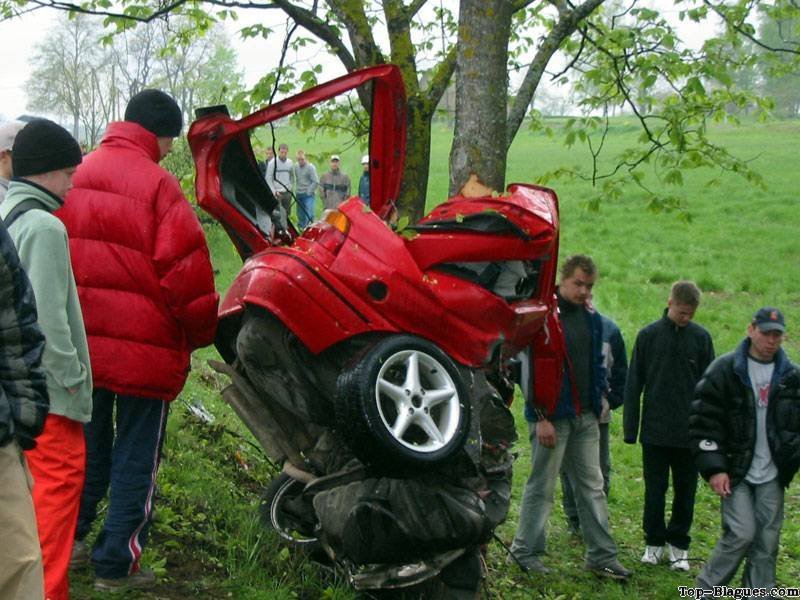 voiture autour d'un arbre
