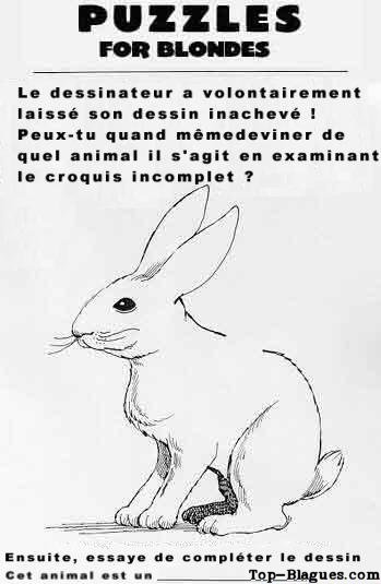 puzzle pour blondes