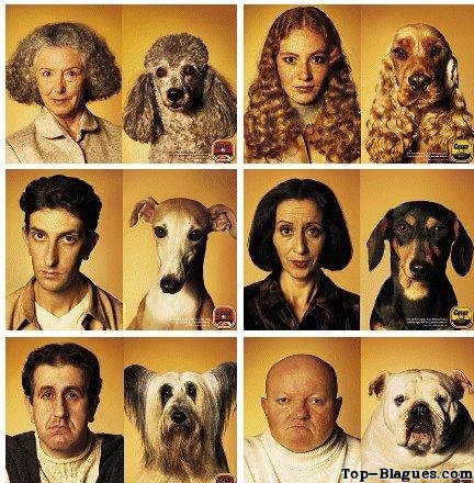 tel chien tel maitre