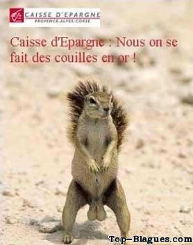 les noisettes de l'�cureuil