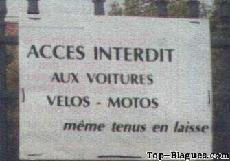 même tenus en laisse