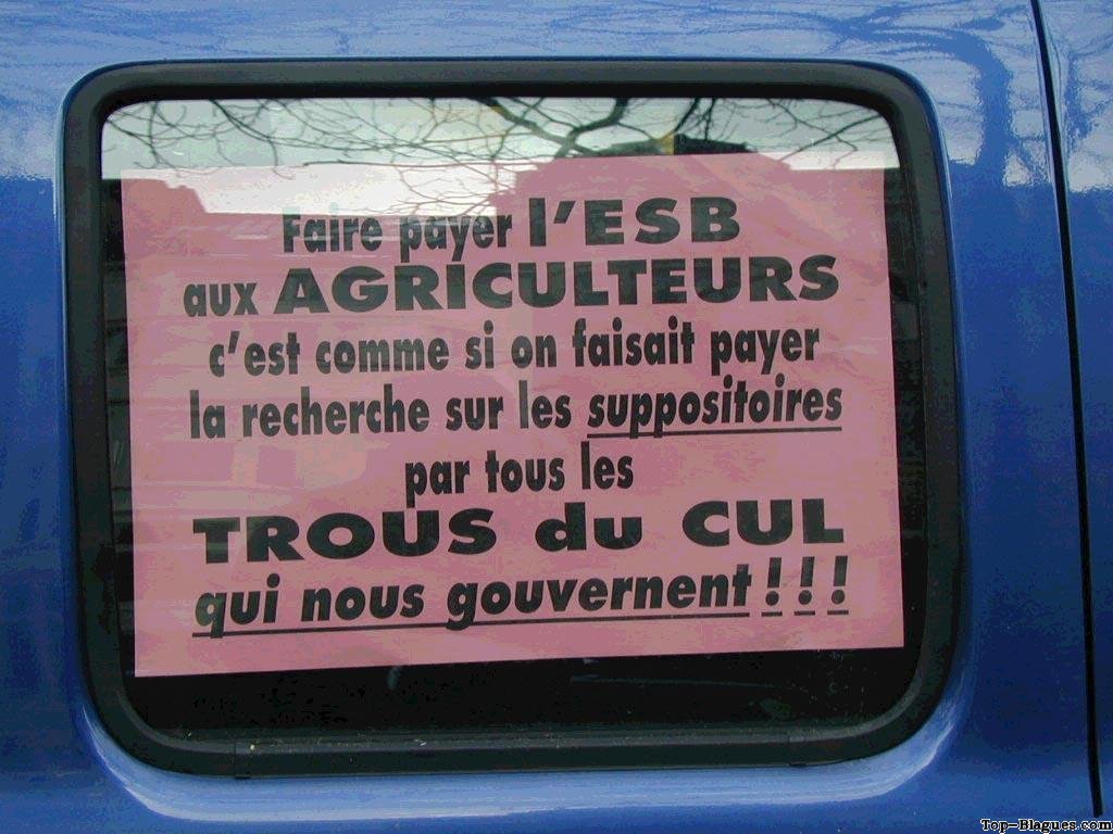 La recherche sur les suppositoires ?