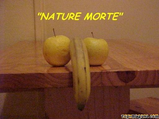 Une nature morte