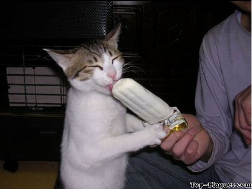 une bonne glace