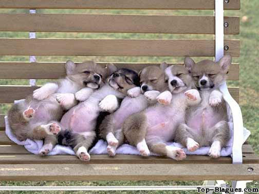 tous assis sur un banc