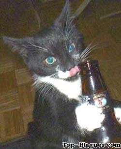 Un chat assoif�