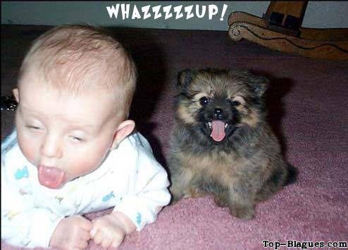 whazzzzzzzup !