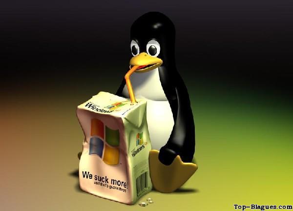 le pingouin