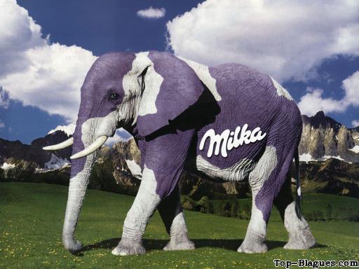 éléphant milka