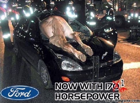 Cheval encastr�.