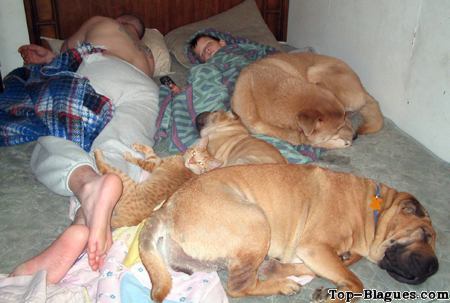 Tout le monde au lit !
