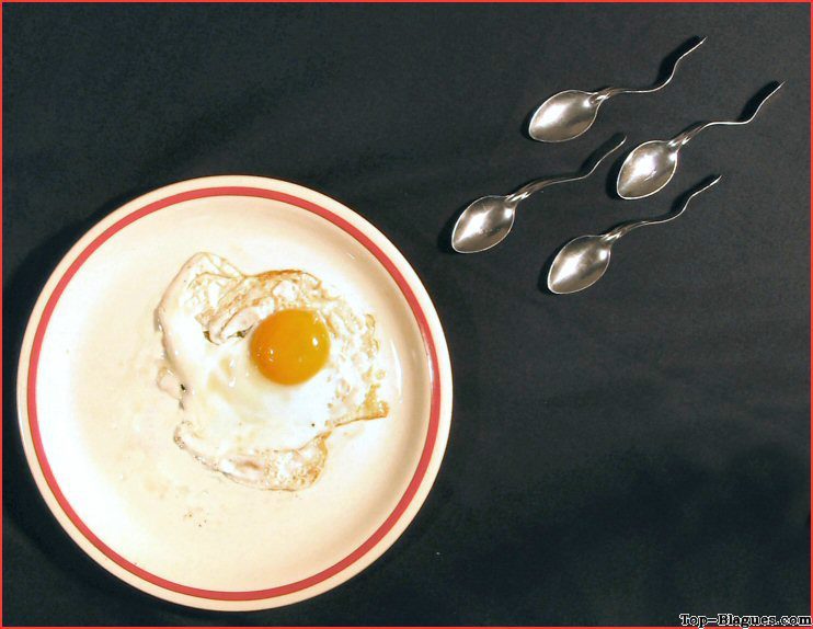 cuill�res et oeuf