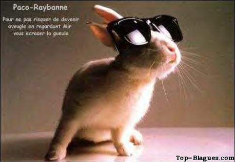 les lunettes de Paco