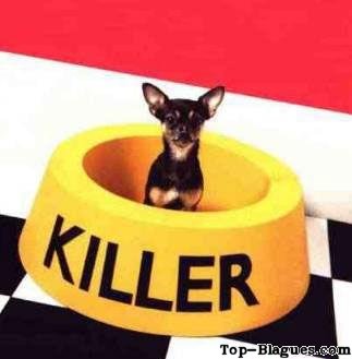 killer le chien
