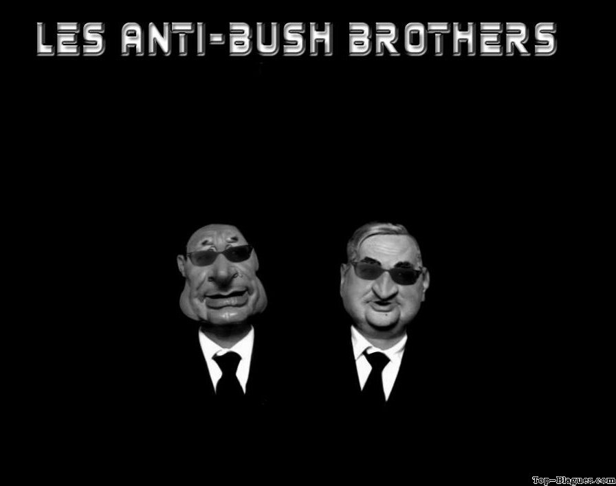les anti bush brothers
