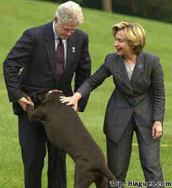 chien ou monica ?