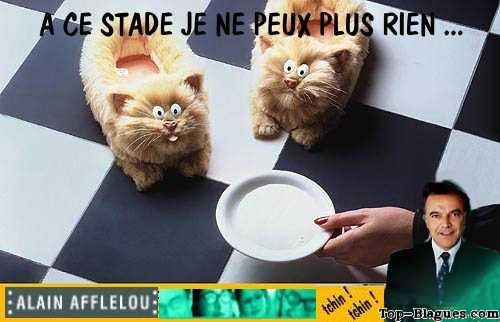 Chat chaussons