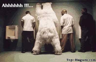 Un ours a un urinoir