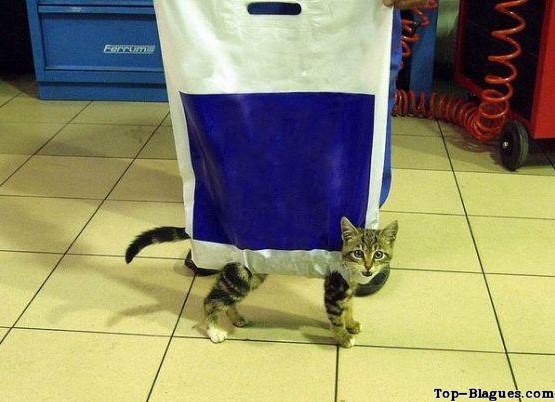 Sac à pattes