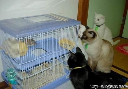 Au secours !