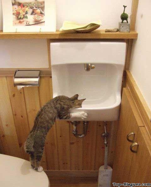 J'ai sooiiiif !