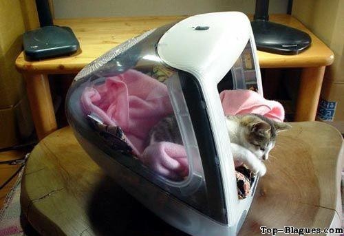 Mais ou est pass�e la souris ?!
