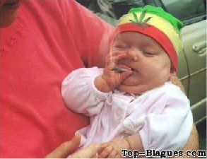 bébé rasta