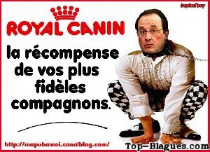 Royal Canin