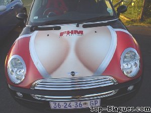 Voiture coquine