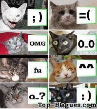 les smileys vus par les chats