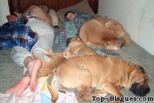 Tout le monde au lit !