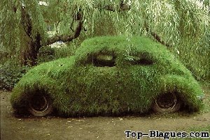la voiture verte, la vraie !
