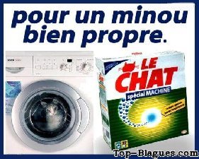 Une lessive pour les chats : Le chat !