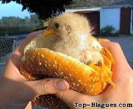 MCpoussin : le nouvel hamburger  du Macdo