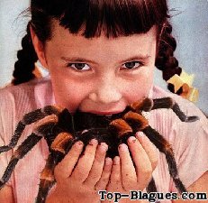 Une fillette mangue une énorme araignée !