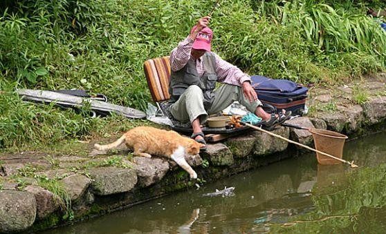 Qui sera le meilleur pêcheur ?