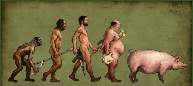 L'évolution de l'homme