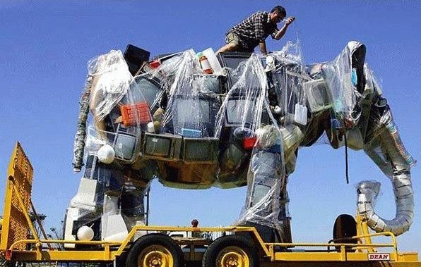 Elephant