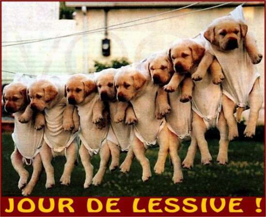 Jour de lessive