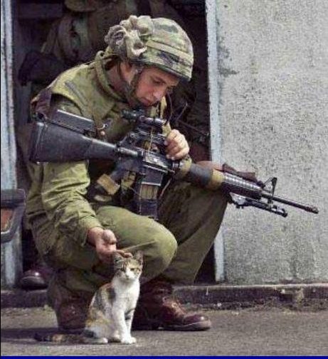 Soldat au coeur tendre
