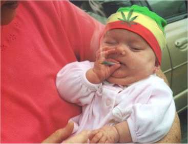 Bébé rasta