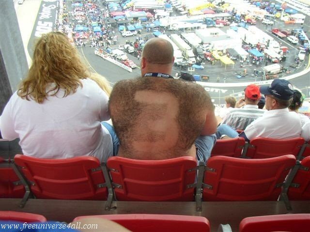 Supporter à poil