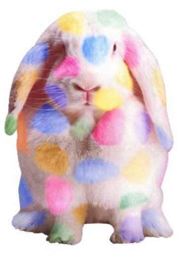 Lapin coloré