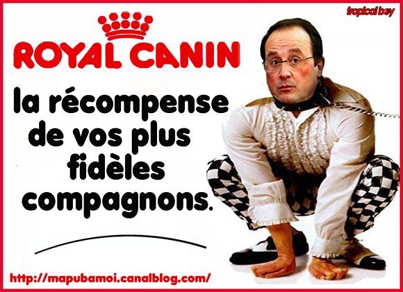 Royal Canin