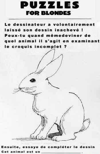 Puzzle pour blondes