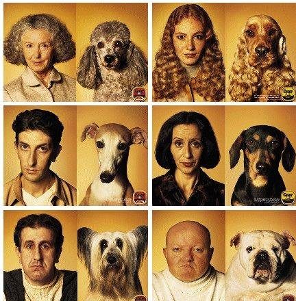 Tel chien tel maitre