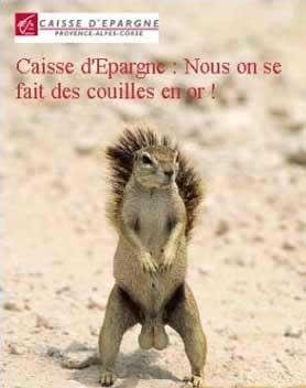 Les noisettes de l'écureuil