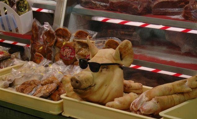 Un porc branché
