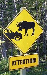 Attention caribou